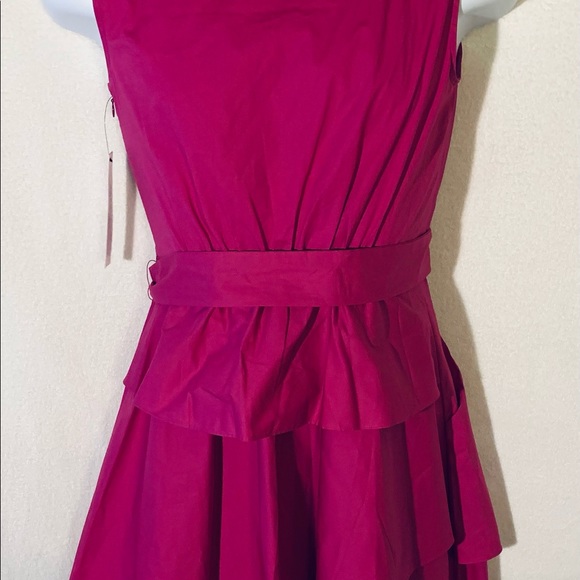 NWT DKNYC Fushcia Dress Size 2 w/ Pleat Detail - Picture 5 of 9